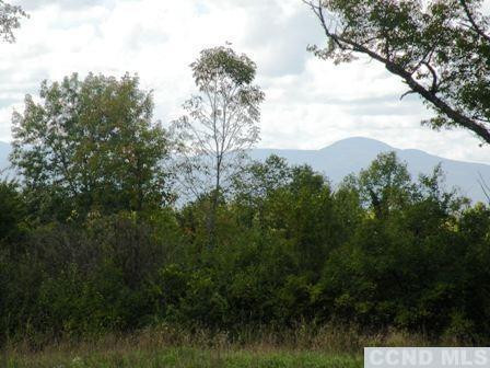 Undisclosed Address Livingston, NY 12534 - Photo 8 of 16 a view of mountain view with lots of trees