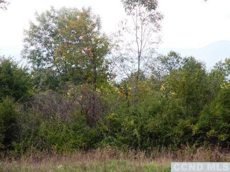 Undisclosed Address Livingston, NY 12534 - Photo 9 of 16 a view of a forest with trees in the background