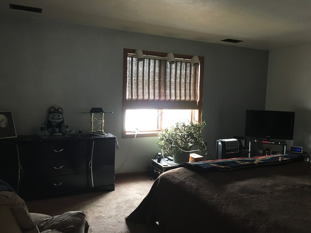 3 Highcrest Park, Unit 3 Webster, MA 01570 - Photo 9 of 14 a bedroom with a bed and a potted plant