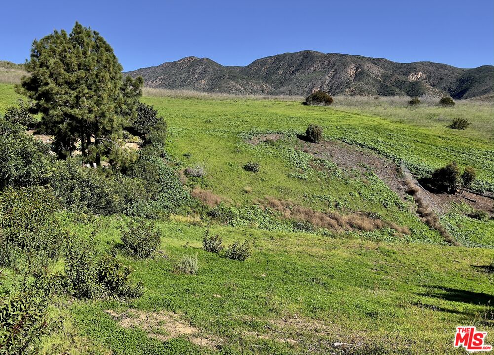 Calpine Drive Malibu, CA 90265 - Photo 2 of 10 a view of a lush green hillside and a houses