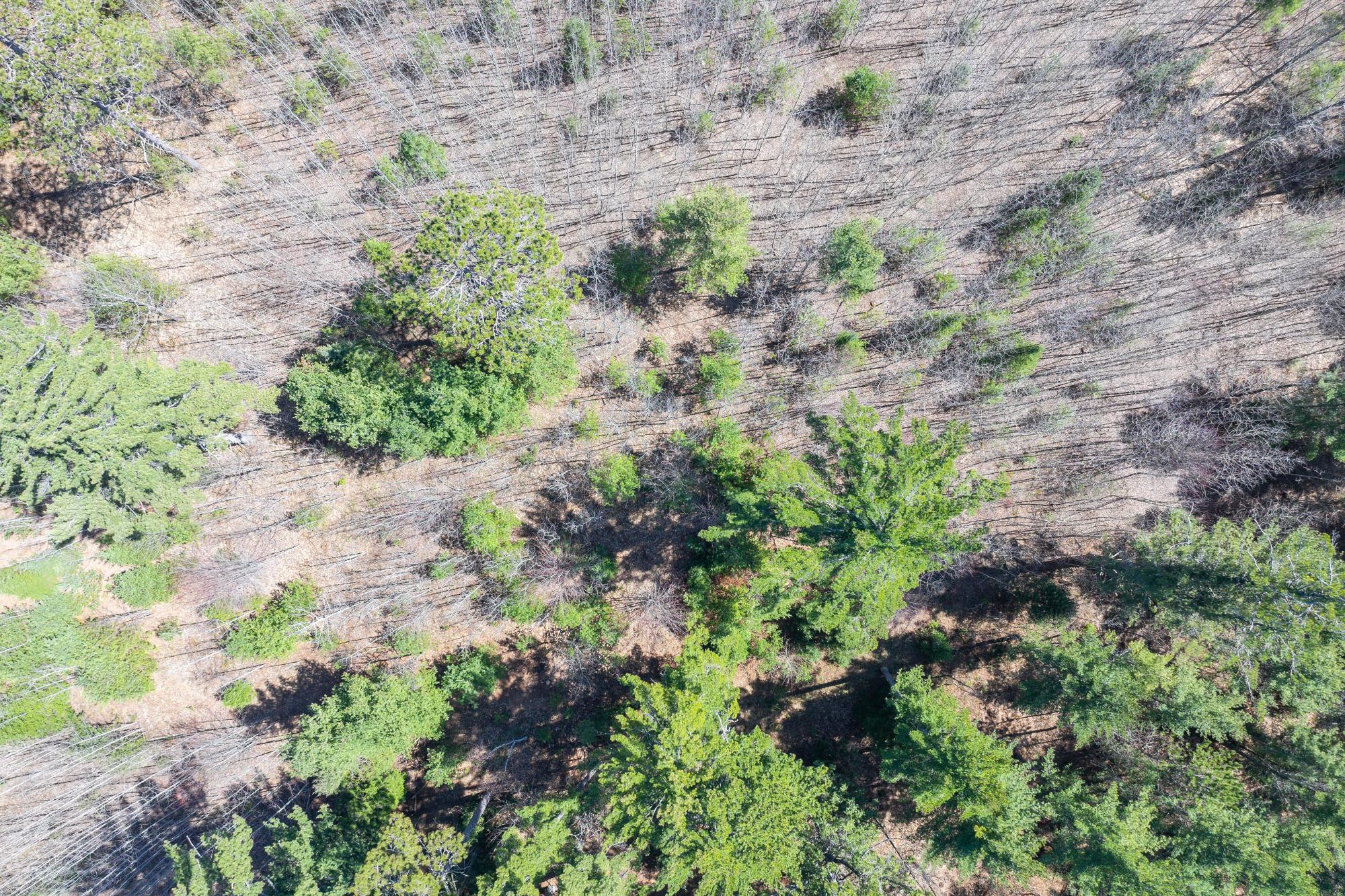 Lot 3 Bloom Road Eagle River, WI 54521 - Photo 13 of 15 Gallery Image 13