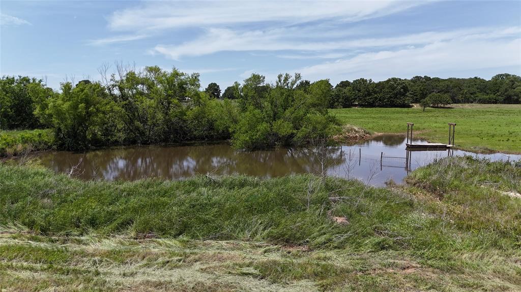 8605 West Highway 199 Springtown, TX 76082 - Photo 12 of 23 Pond with a wooden dock and surrounding lush greenery