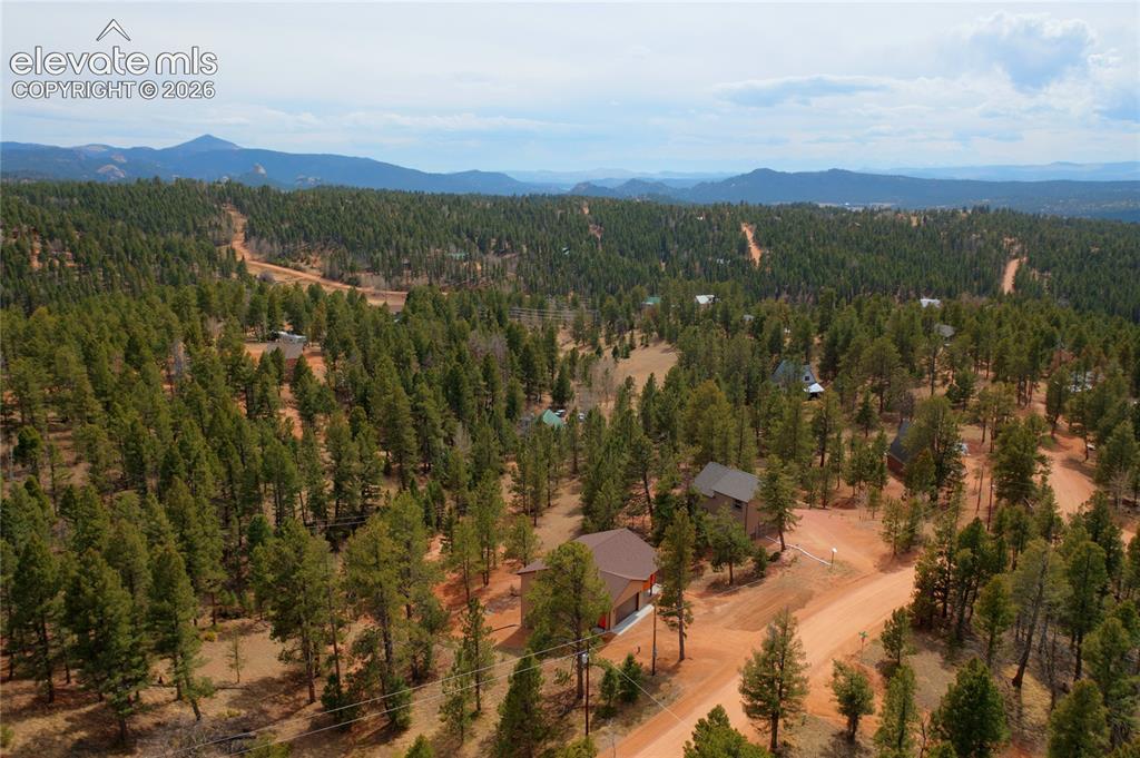 748 Pinewood Road Florissant, CO 80816 - Photo 43 of 46