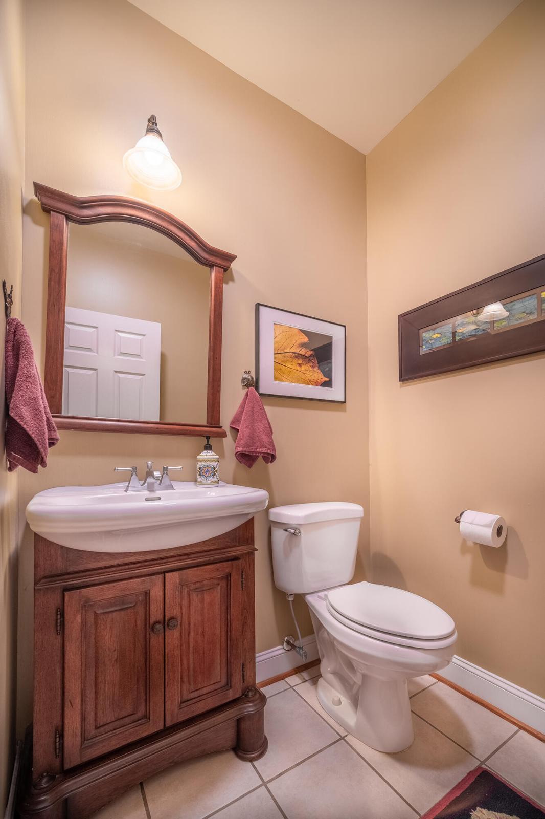 151 Stoneybrook Road Vesuvius, VA 24521 - Photo 39 of 96 39 151 Stoneybrook