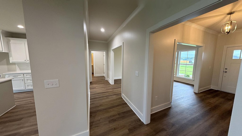295 Adkinson Road Newton, AL 36352 - Photo 4 of 13