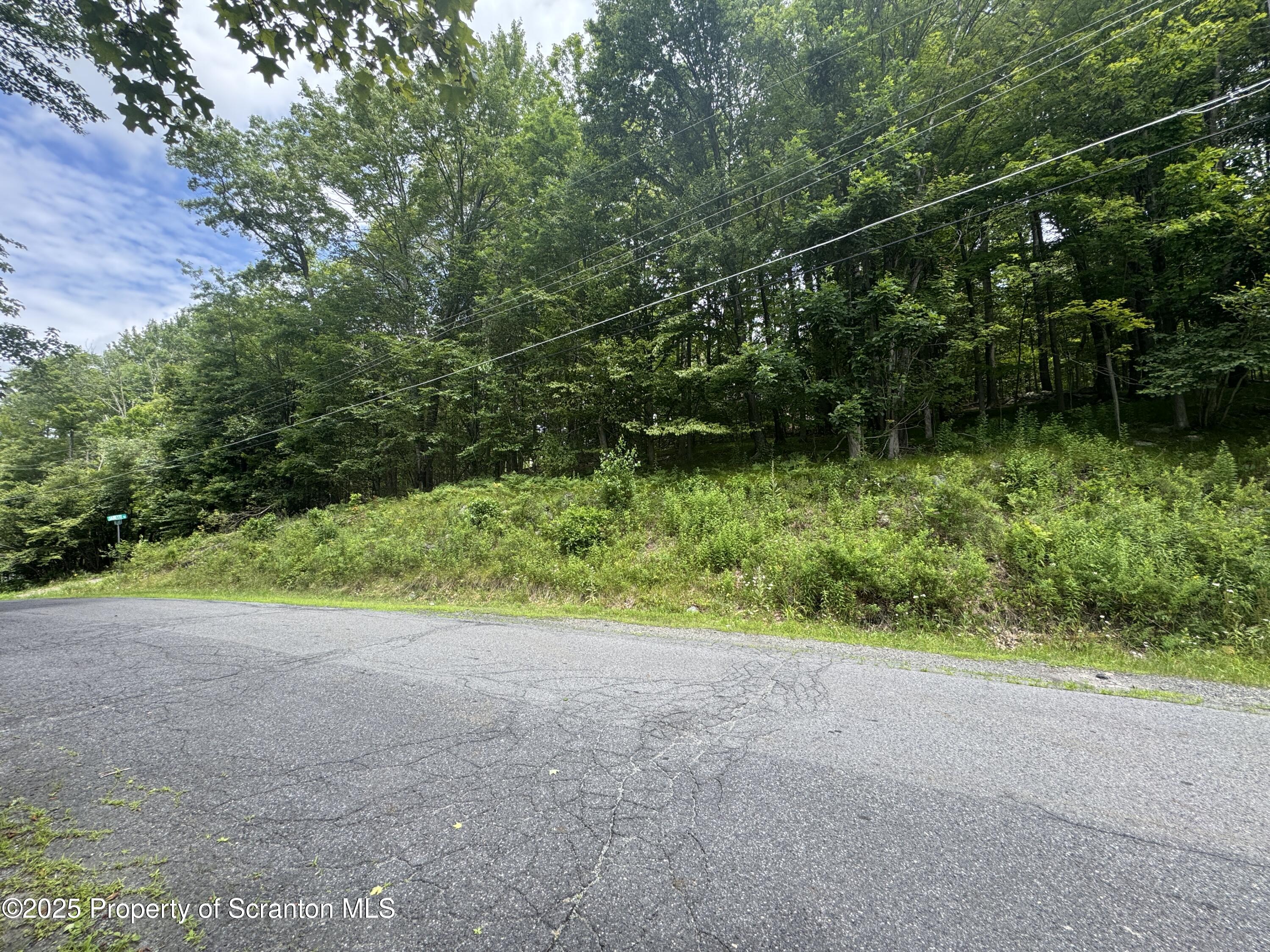 Janette Street Moscow, PA 18444 - Photo 3 of 6 a view of a yard with potted plants and large trees