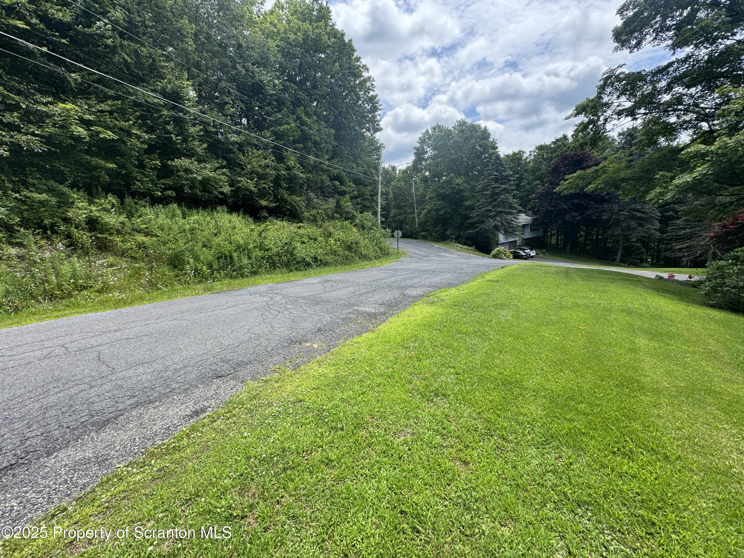 Janette Street Moscow, PA 18444 - Photo 5 of 6 a view of a yard with a tree