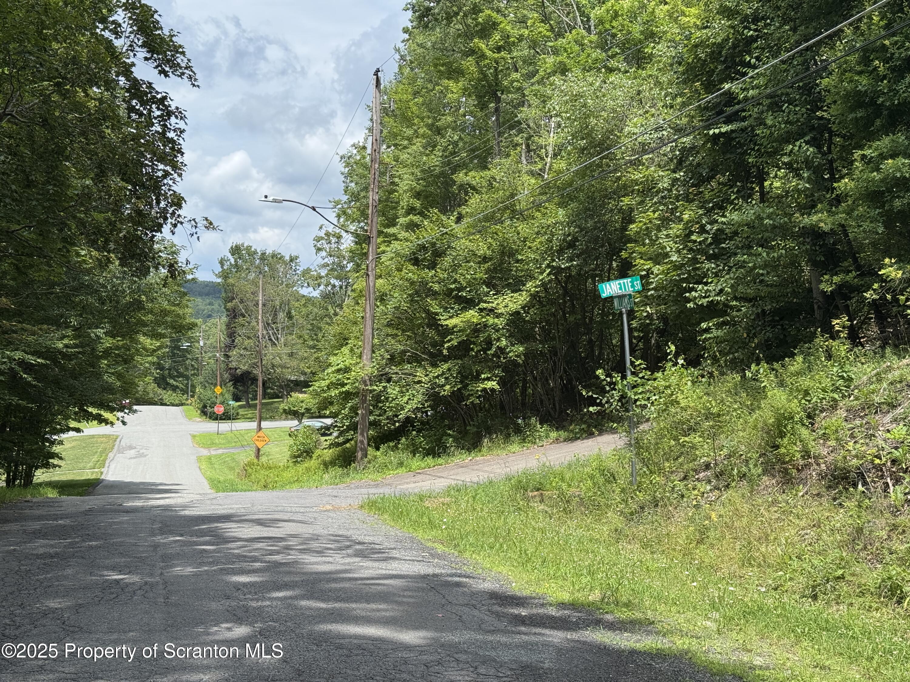 Janette Street Moscow, PA 18444 - Photo 6 of 6 a view of a park with trees and plants