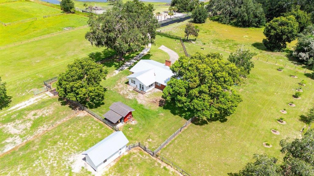 38730 Mickler Road Dade City, FL 33523 - Photo 27 of 38 a view of a yard with plants and large trees
