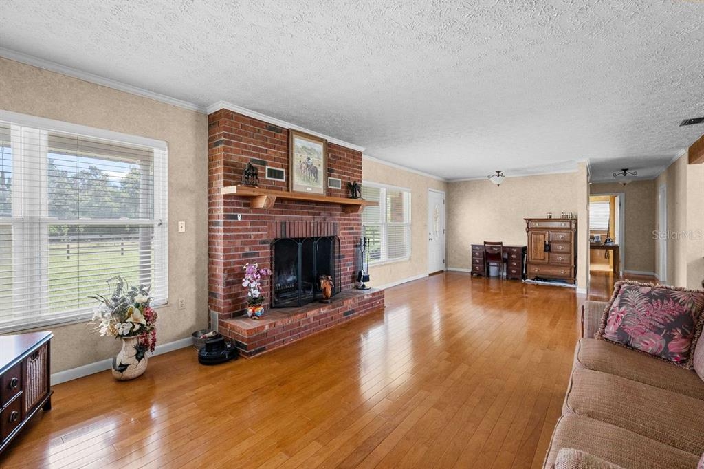 38730 Mickler Road Dade City, FL 33523 - Photo 3 of 38 a living room with furniture and a fireplace