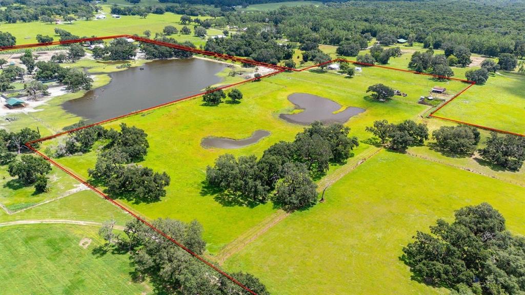 38730 Mickler Road Dade City, FL 33523 - Photo 34 of 38 an aerial view of a swimming pool with lawn chairs and large trees