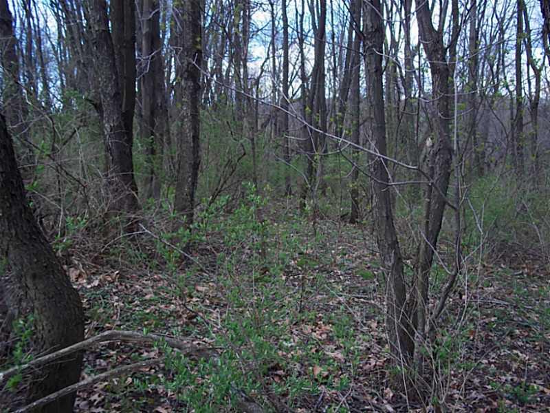 253 Cooper Road Slippery Rock, PA 16057 - Photo 11 of 15 Land.