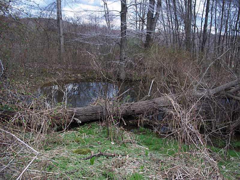 253 Cooper Road Slippery Rock, PA 16057 - Photo 12 of 15 Land.