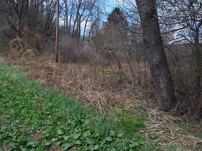 253 Cooper Road Slippery Rock, PA 16057 - Photo 13 of 15 Land.