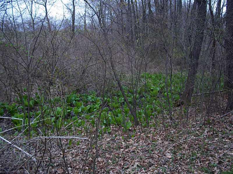 253 Cooper Road Slippery Rock, PA 16057 - Photo 14 of 15 Land.