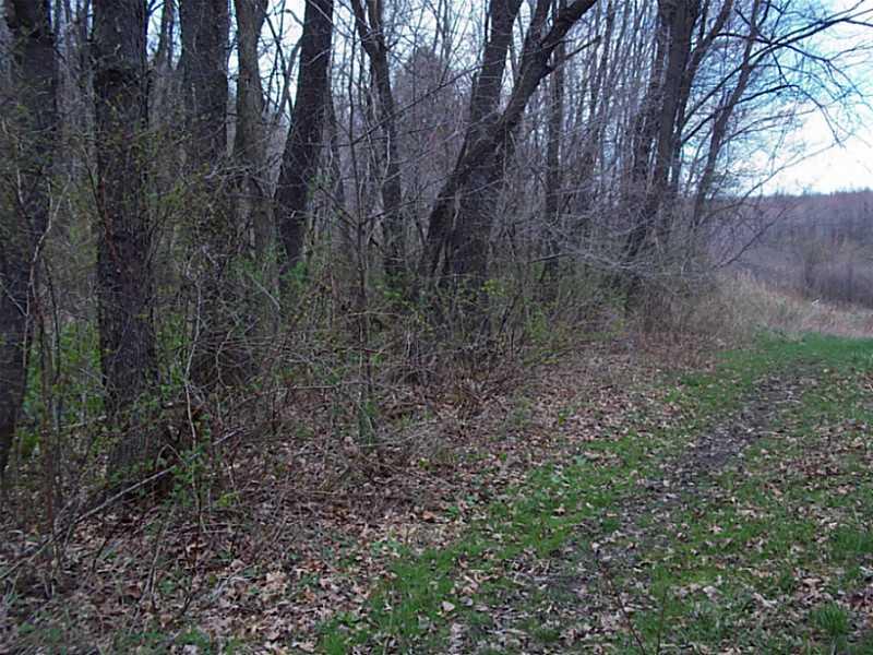 253 Cooper Road Slippery Rock, PA 16057 - Photo 15 of 15 Land.