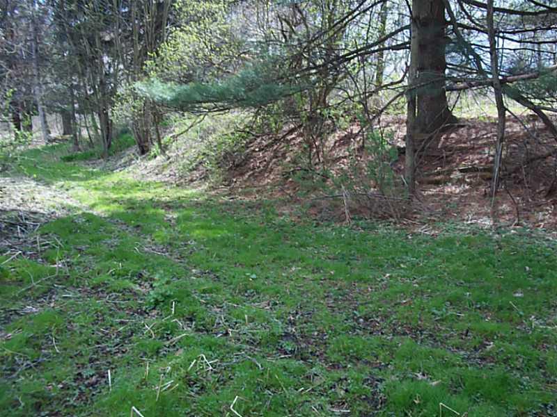 253 Cooper Road Slippery Rock, PA 16057 - Photo 4 of 15 Land.