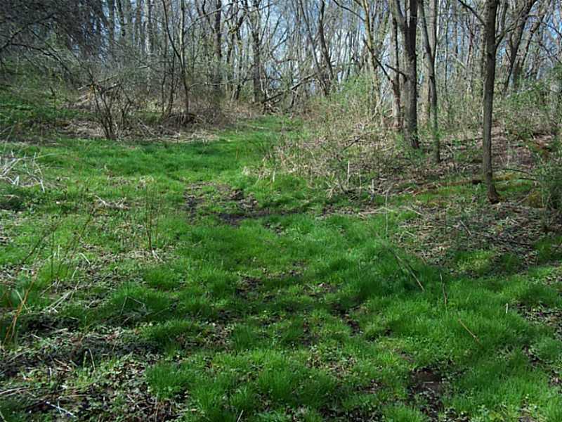 253 Cooper Road Slippery Rock, PA 16057 - Photo 5 of 15 Land.