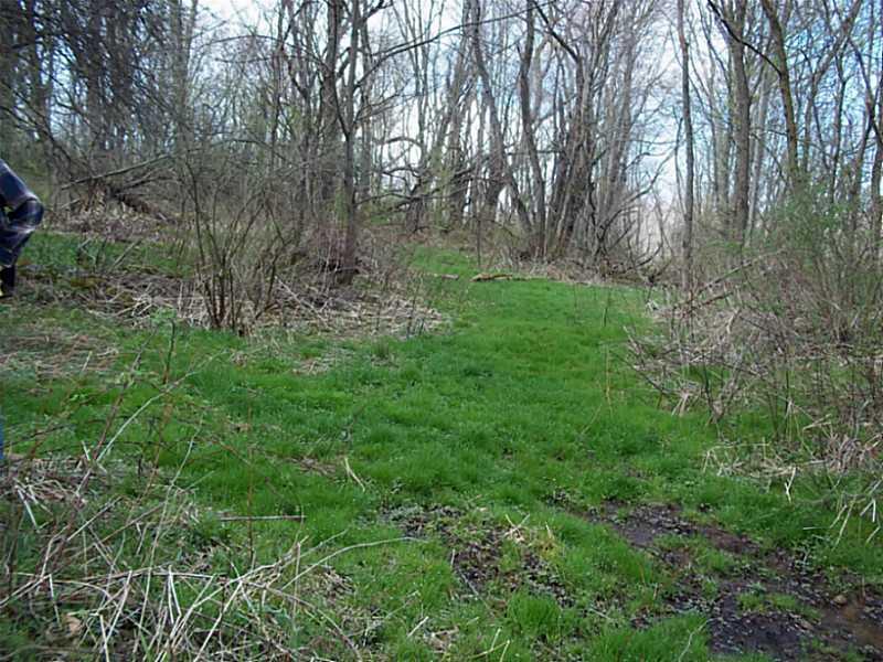 253 Cooper Road Slippery Rock, PA 16057 - Photo 6 of 15 Land.
