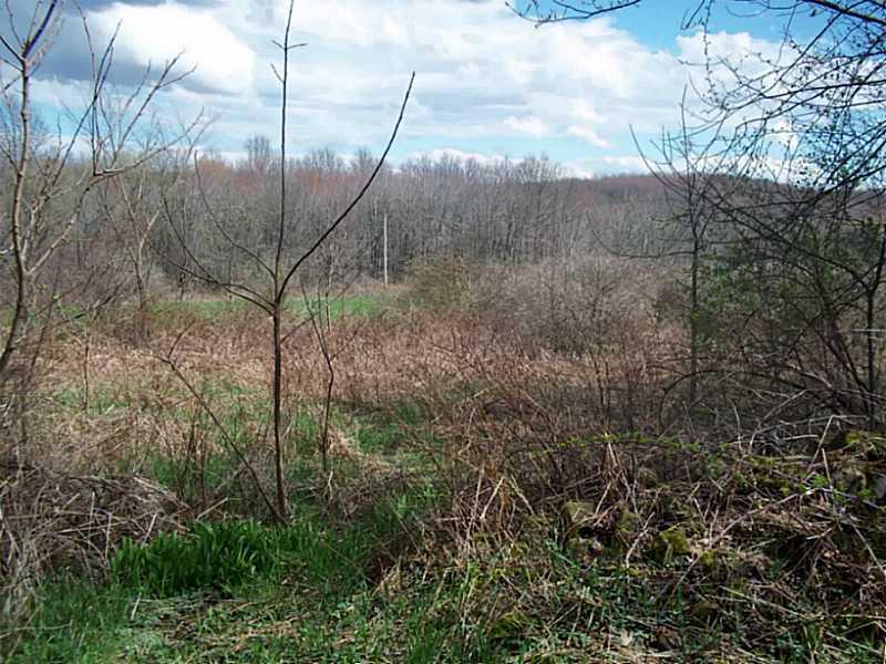 253 Cooper Road Slippery Rock, PA 16057 - Photo 7 of 15 Land.