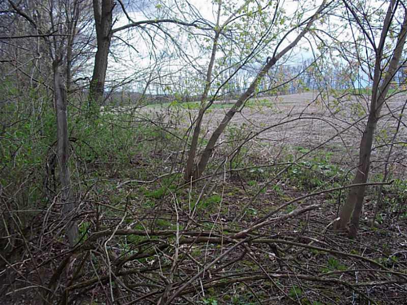 253 Cooper Road Slippery Rock, PA 16057 - Photo 10 of 15 Land.