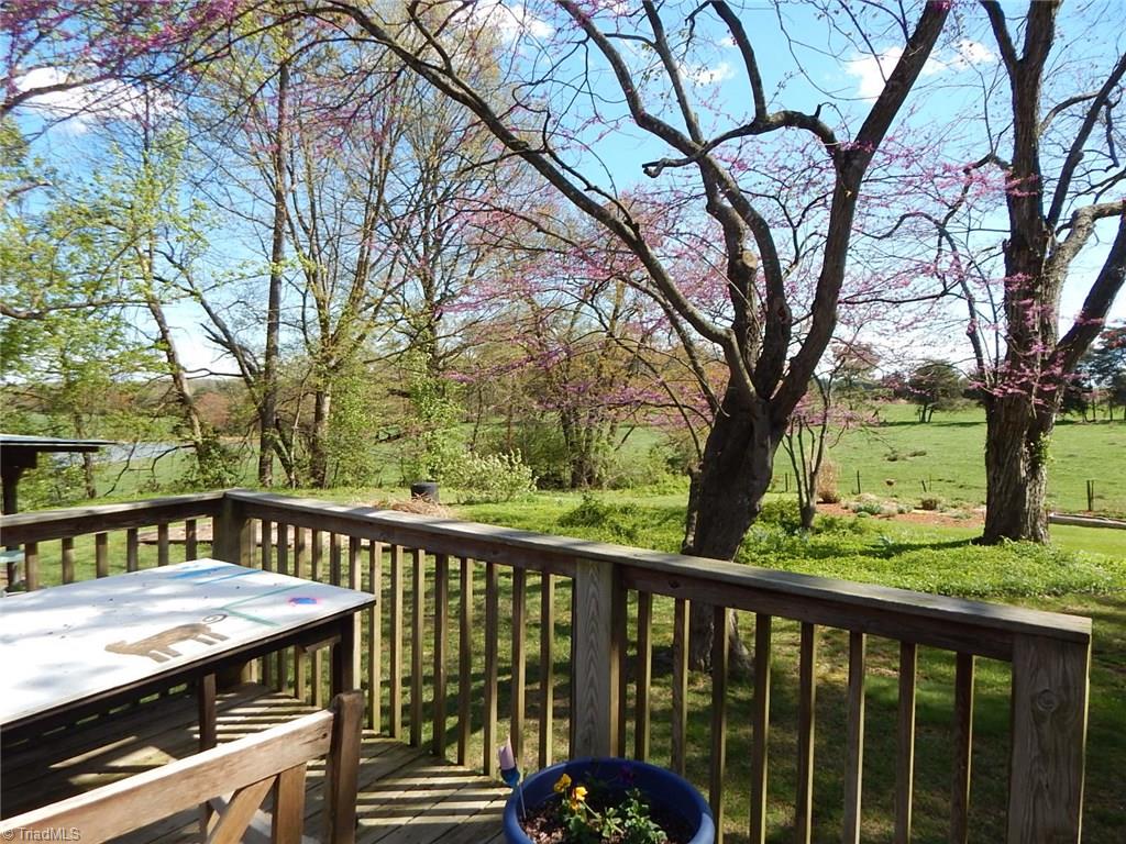 206 Tom Jones Road Ararat, NC 27007 - Photo 15 of 26 Gallery Image 15
