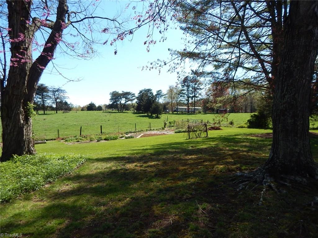 206 Tom Jones Road Ararat, NC 27007 - Photo 17 of 26 Gallery Image 17