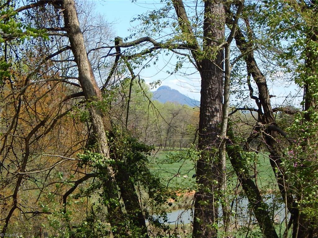 206 Tom Jones Road Ararat, NC 27007 - Photo 18 of 26 Gallery Image 18