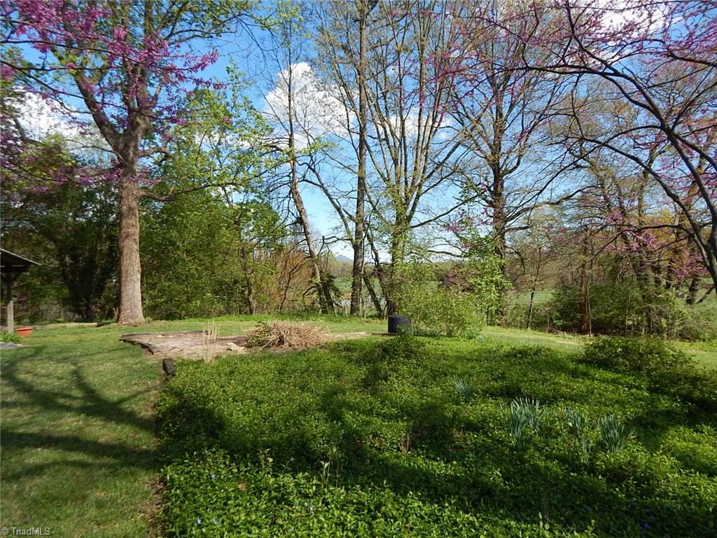 206 Tom Jones Road Ararat, NC 27007 - Photo 19 of 26 Gallery Image 19