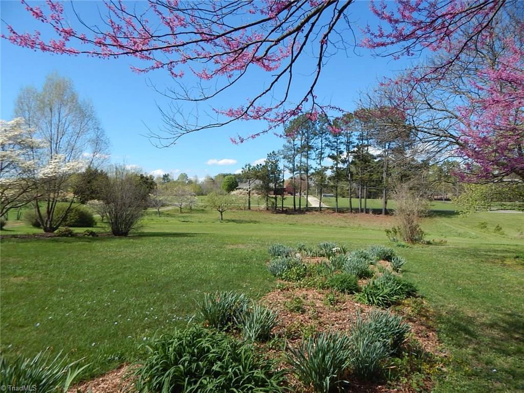 206 Tom Jones Road Ararat, NC 27007 - Photo 26 of 26 Gallery Image 26