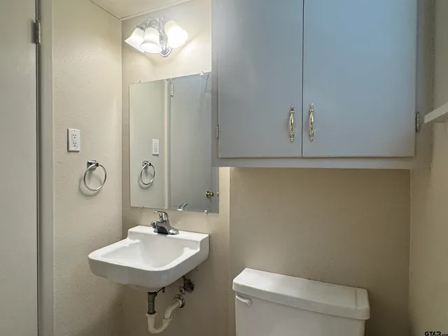 a bathroom with a sink a toilet and mirror
