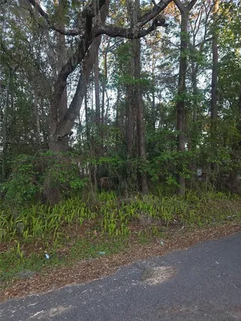 $17,900 | 0 Bethune Street, Brooksville, FL 34601