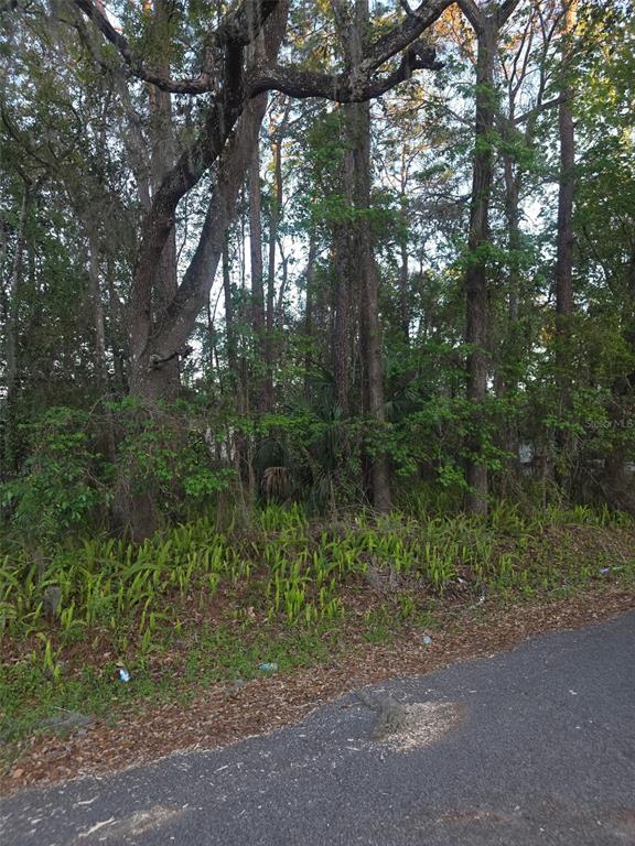 0 Bethune Street Brooksville, FL 34601 - Photo 1 of 3 a view of a forest with trees