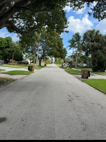 a view of road and trees