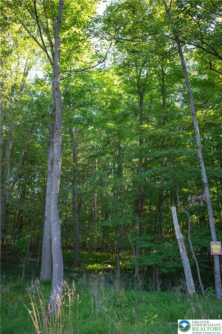 8657 South Loop Road Slatington, PA 18080 - Photo 25 of 32 Mature deciduous trees create a peaceful natural setting that deer love visiting.