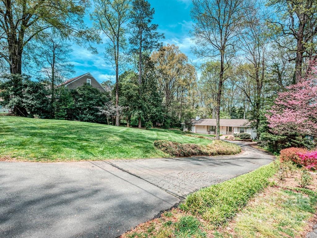 415 Ashworth Road Charlotte, NC 28211 - Photo 41 of 43 a view of a garden with a bench