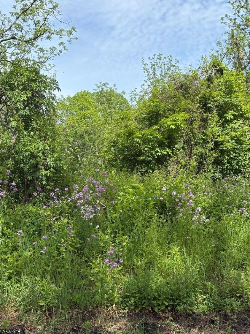 1 Bridge Road Columbia, NJ 07832 - Photo 11 of 16