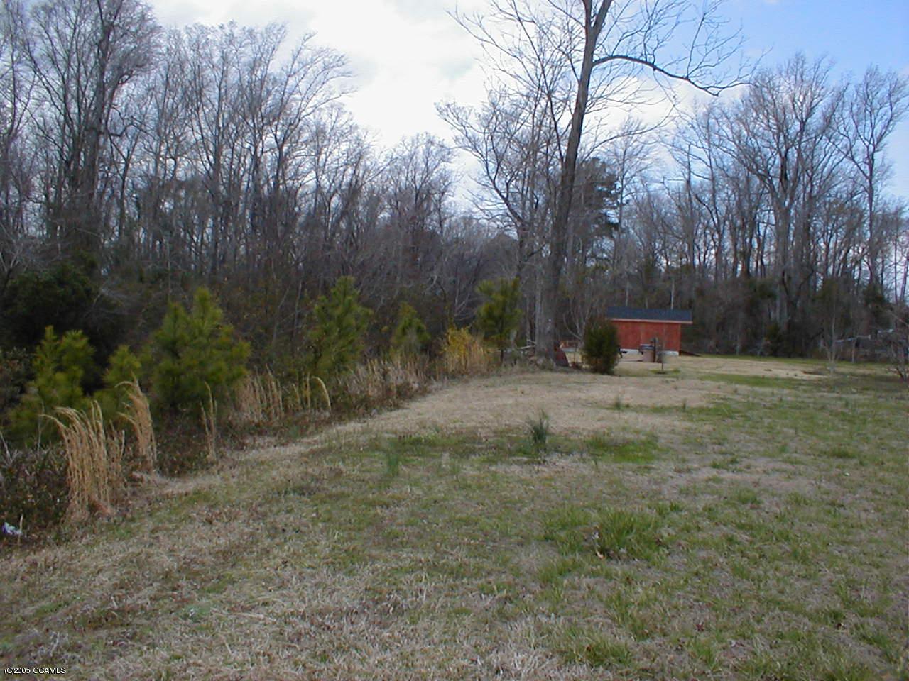 369 Ball Farm Road Newport, NC 28570 - Photo 4 of 4 Back of Lot near canal