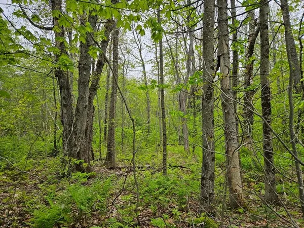 $37,500 | 681 Mile Hill Road, New Sharon, ME 04955