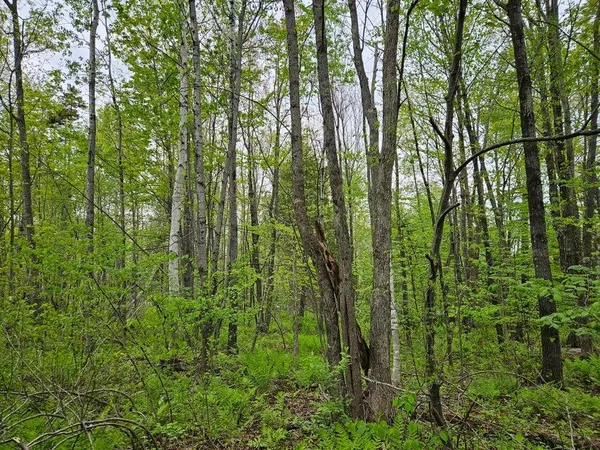 $37,500 | 681 Mile Hill Road, New Sharon, ME 04955