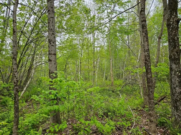 $37,500 | 681 Mile Hill Road, New Sharon, ME 04955