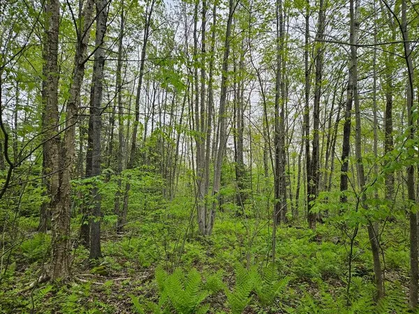 $37,500 | 681 Mile Hill Road, New Sharon, ME 04955