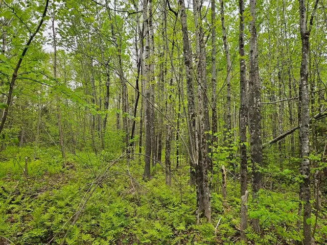 $37,500 | 681 Mile Hill Road, New Sharon, ME 04955