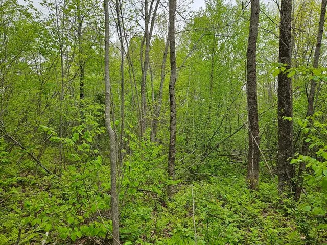 $37,500 | 681 Mile Hill Road, New Sharon, ME 04955