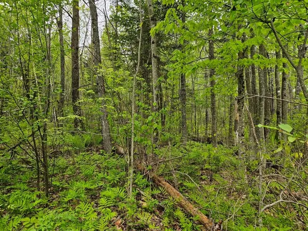 $37,500 | 681 Mile Hill Road, New Sharon, ME 04955