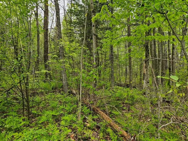 $37,500 | 681 Mile Hill Road, New Sharon, ME 04955