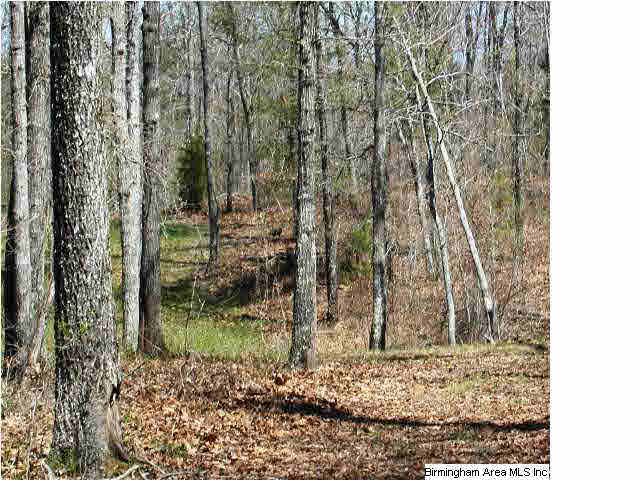 0 Silley Dean Road Northwest, Unit 277 AC Pinson, AL 35126 - Photo 10 of 19