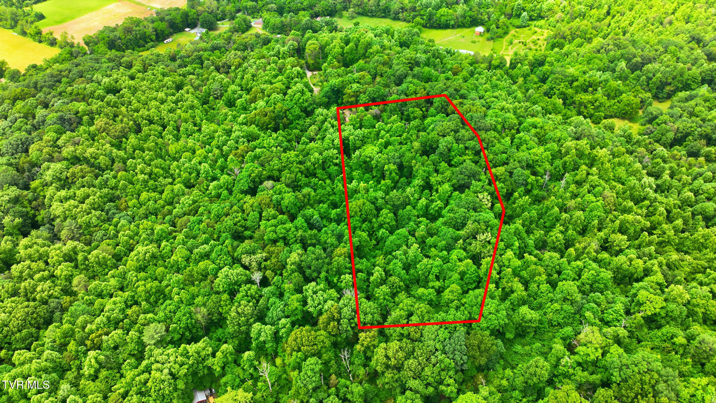 186 Raspberry Ridge Johnson City, TN 37601 - Photo 27 of 32 27_186 rasberry rdg-8