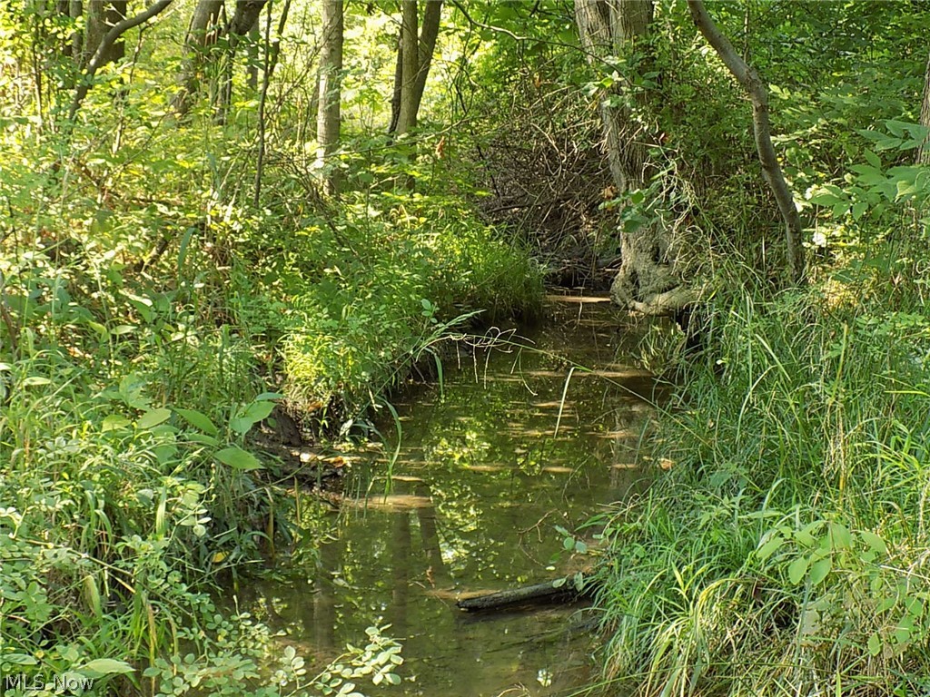 Drake Road Strongsville, OH 44136 - Photo 16 of 20 View of Creek