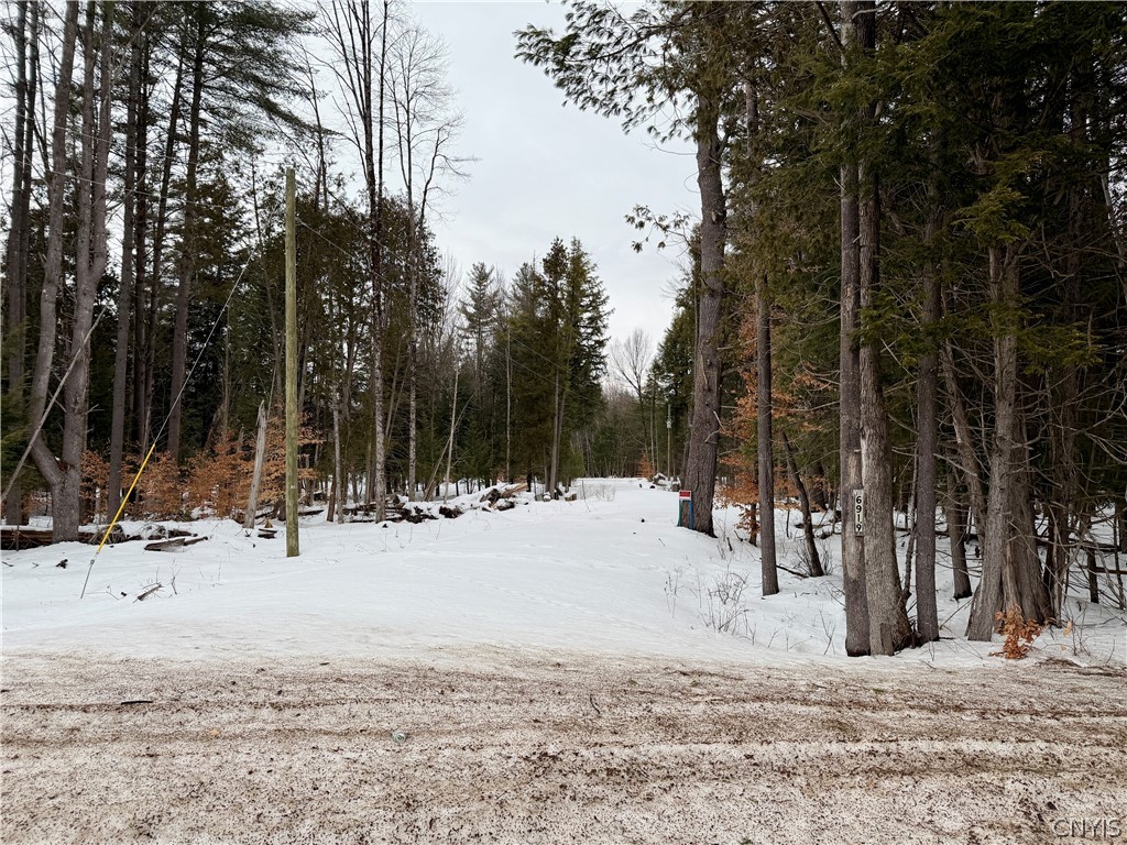 Driveway w/ power poles
